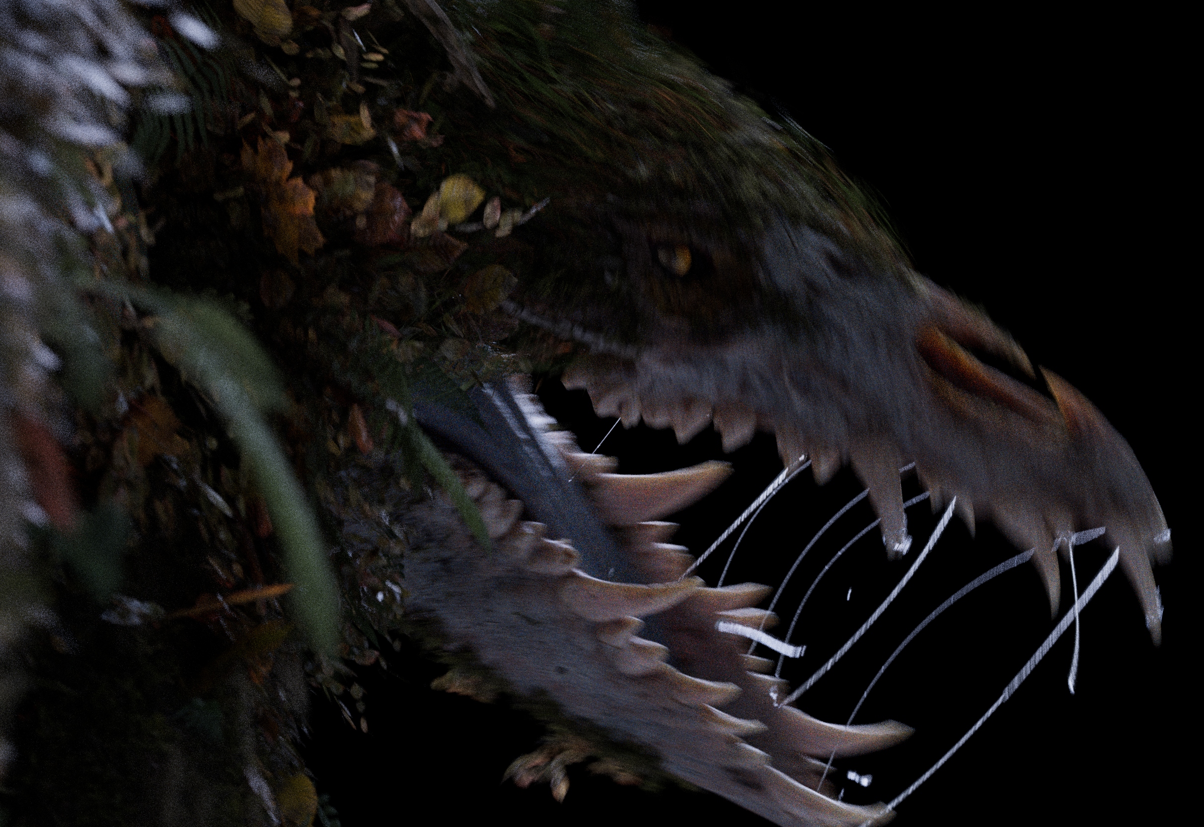 2510_senuelo_020_0110_light_main_render_main_v005.1013