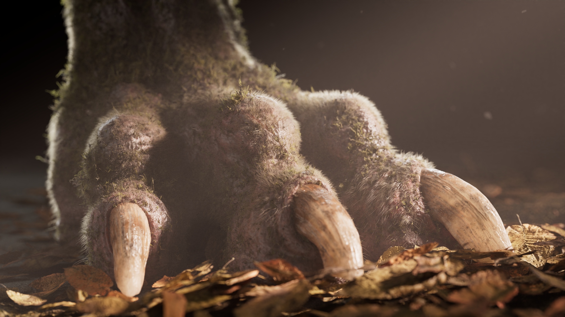 2510_senuelo_DC_0070_light_main_render_main_dN_v013.1088