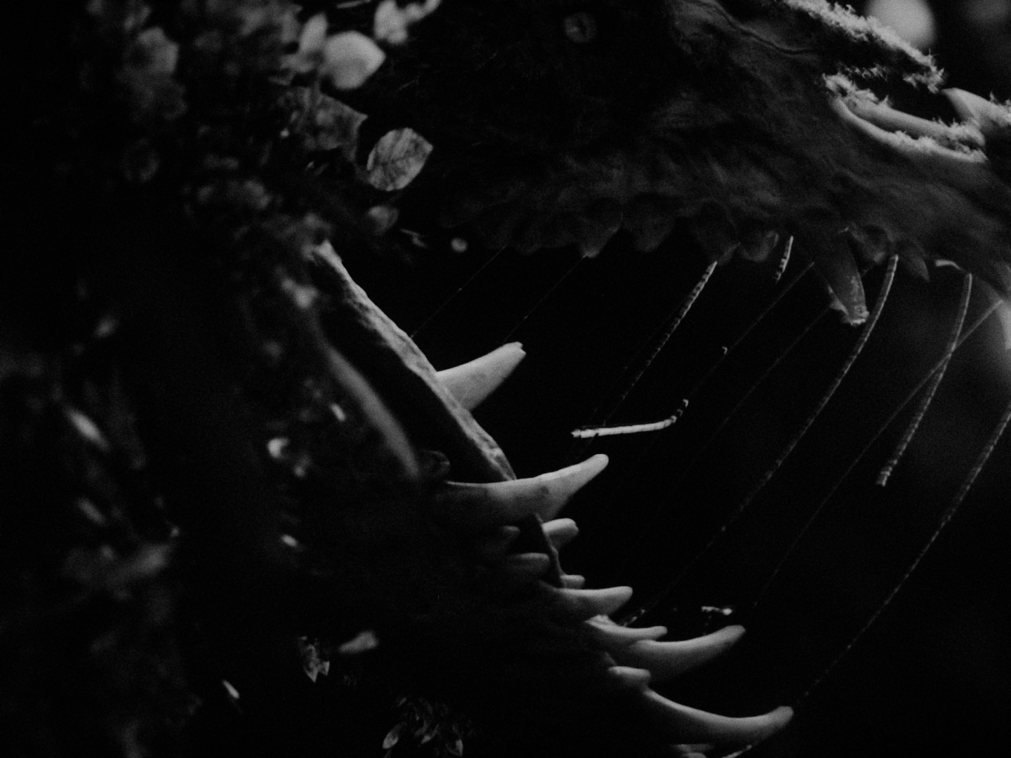 SEN_DC_MASTER_4444XQ_11042